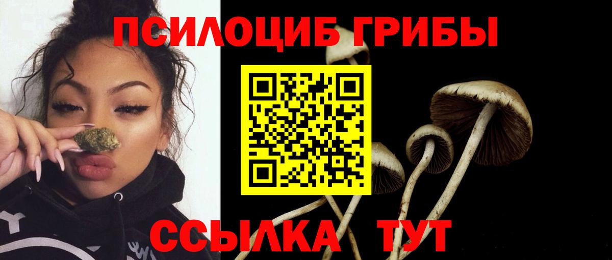 купить наркоту  Галлюциногенные грибы Cubensis  Вход с VPN  Мценск 